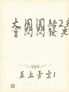 大团圆结2亲情会闪闪发光亲情会2