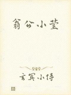 翁公小莹封面
