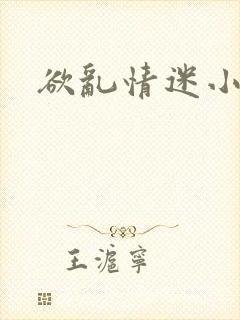 欲乱情迷小说封面