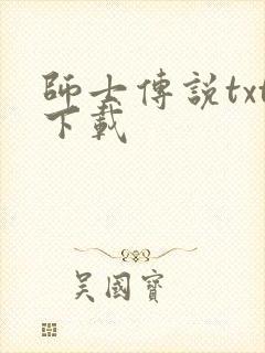 师士传说txt下载