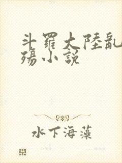 斗罗大陆乱世浮殇小说