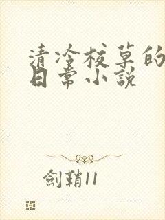清冷校草的堕落日常小说