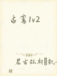 占鸾1v2