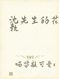 沈先生的花式调教