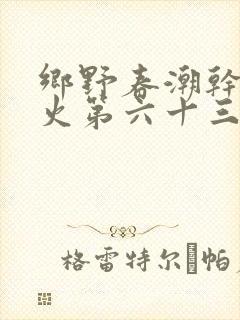 乡野春潮干柴烈火第六十三章