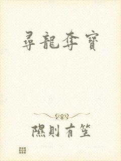 寻龙夺宝
