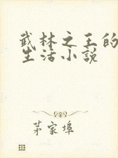 武林之王的退隐生活小说