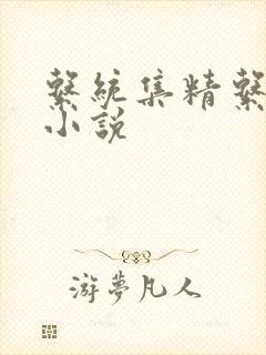 系统集精系统 小说