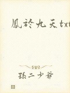 凤于九天txt