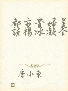 都市贵妇美腿小说杨冰凝全文阅读