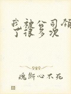 我被公司领导C了很多次