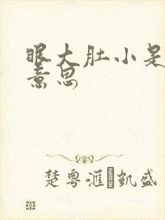 眼大肚小是什么意思