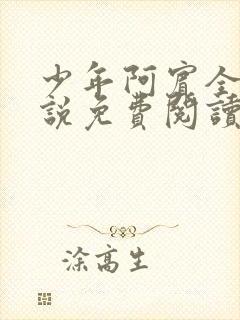 少年阿宾全文小说免费阅读笔趣阁封面