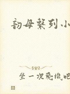 韵母系列小说封面