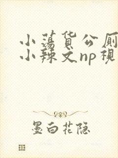 小荡货公厕h文小辣文np视频