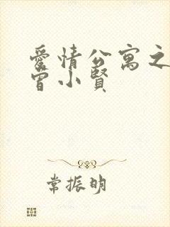 爱情公寓之极品曾小贤