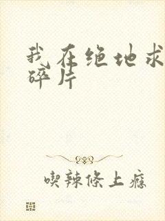 我在绝地求生捡碎片