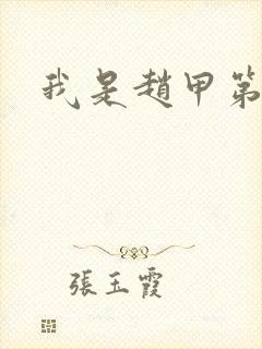 我是赵甲第小说