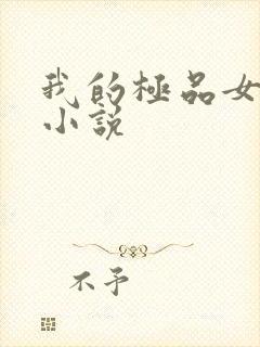 我的极品女老师小说