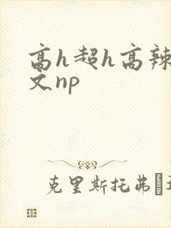 高h超h高辣h文np