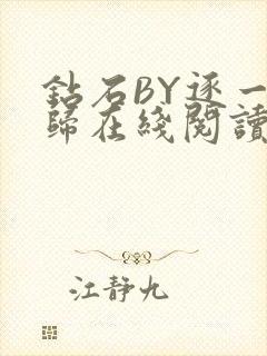 钻石BY逐一而归在线阅读