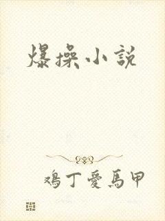 爆操小说