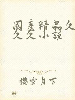 国产精品久久久久久小说