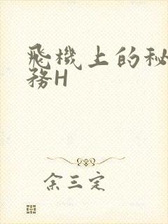 飞机上的秘密服务H