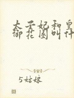 太子妃和皇帝在御花园叫什么小说