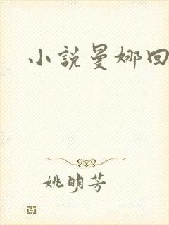 小说曼娜回忆录封面