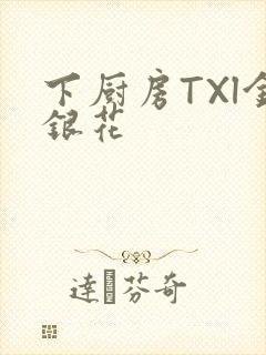 下厨房TXl金银花