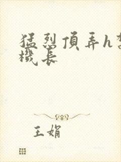 猛烈顶弄h禁欲机长