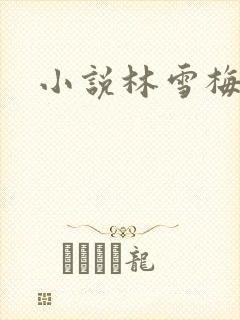 小说林雪梅封面