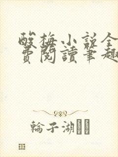 酸梅小说全文免费阅读笔趣阁