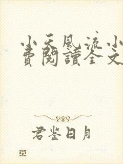 小天风流小说免费阅读全文最新章节