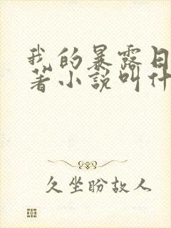 我的暴露日记原著小说叫什么