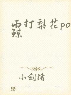 雨打梨花po问鲸封面
