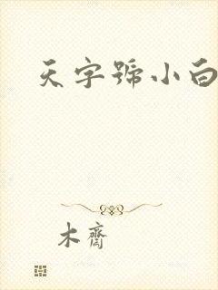 天字号小白脸