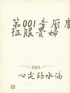 第001章厨房征服贵妇