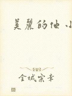 美丽的他 小说封面