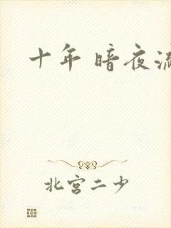 十年 暗夜流光