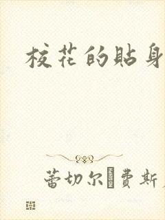 校花的贴身杀手