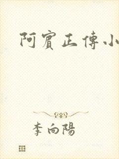 阿宾正传小说封面