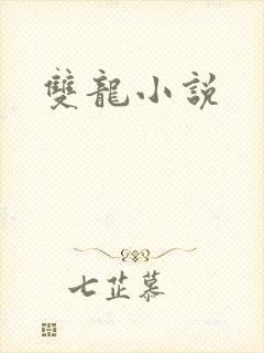 双龙小说