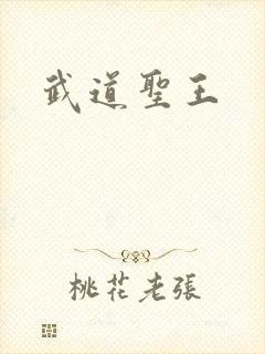 武道圣王