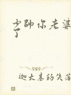 少帅你老婆又跑了