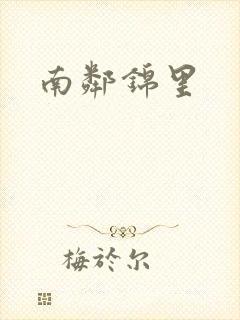 南邻锦里封面