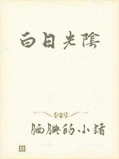 白日光阴