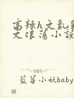 高辣h文乱乳h文浪荡小说苏柔