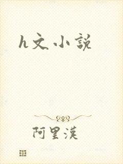 h文小说封面
